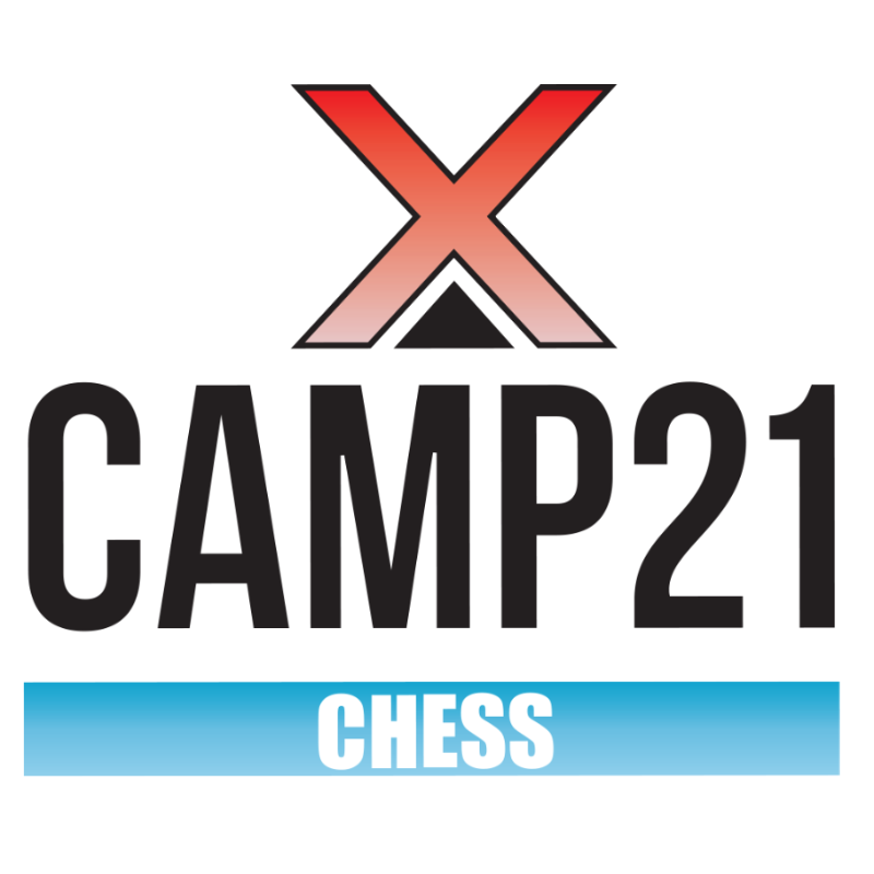 chess800